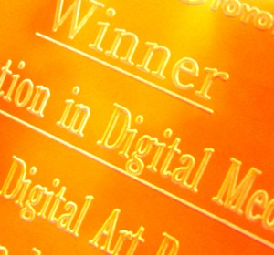 pixel play won the Innovation in Digital Media award at the 2007 SA Film Festival